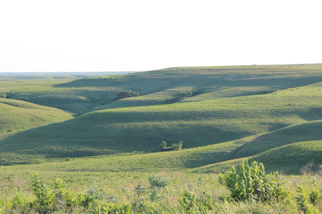 Clover Cliff Ranch Bed And Breakfast Elmdale Luaran gambar
